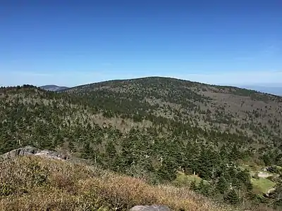19. Mount Rogers in Virginia