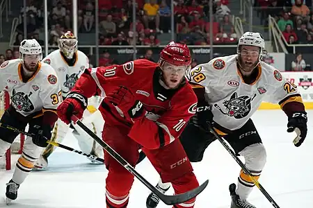 2019 Calder Cup Finals - Game 1 - Chicago Wolves at Charlotte Checkers - June 1, 2019 - Steven Lorentz and Jake Bischoff (48038928278).jpg