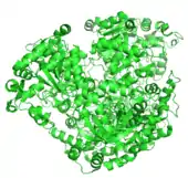 Rendering of Crotonyl CoA Carboxylase/Reductase, an oxidoreductase