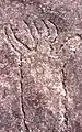 Rock engravings in Terrey Hills