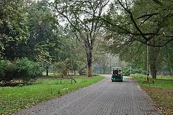 AJC Bose Botanical Garden, Howrah