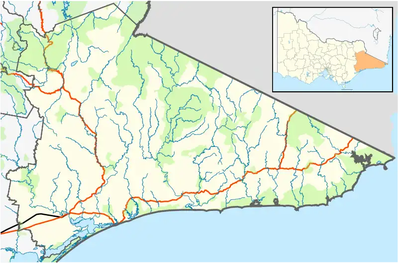 W Tree is located in Shire of East Gippsland