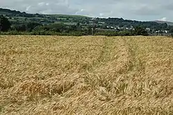 View across the fields towards Cogry