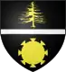 Coat of arms of Les Planches-en-Montagne