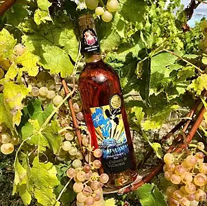 The Rosé bottle in the vineyards of the castle