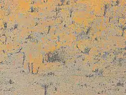 Burnt, oil & pencil/canvas, 12" x 16", 2013, Private Collection, New York