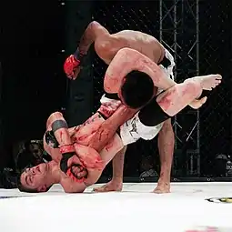 Image 24MMA fighter attempts a Triangle-Armbar submission on his opponent. (from Mixed martial arts)