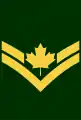 Early post unification Corporal insignia with maple leaf.