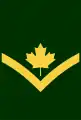 Early post unification Private (qualification level 4a) insignia with maple leaf.