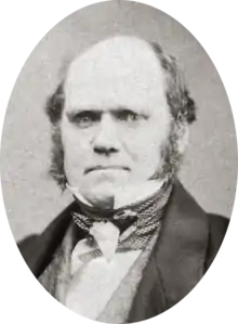 Studio photo showing Darwin's characteristic large forehead and bushy eyebrows with deep set eyes, pug nose and mouth set in a determined look; he is bald on top, with dark hair and long side whiskers but no beard or moustache