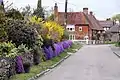 Church Lane in spring, with Aubrieta and Forsythia in bloom