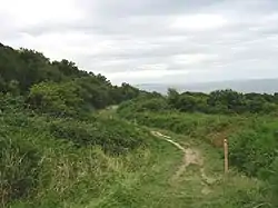 Coast path from Ware Cliffs down to Lyme Regis