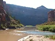 The mouth of the San Miguel - the confluence of the Dolores River (muddy on the left) and the San Miguel (clear on the right)