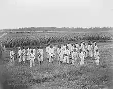 Image 9Juvenile African-American convicts working in the fields in a chain gang, photo taken c. 1903 (from Civil rights movement (1896–1954))