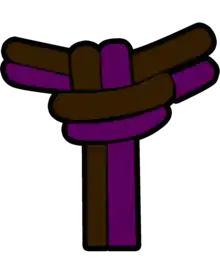 Corda Roxa e Marrom - Capoeira, Instrutor/a