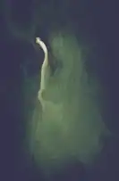 Fish Island on July 28, 2020, taken from the air. During July 2020, Lake Michigan's waters were high, with an average of 177.45 meters above sea level.