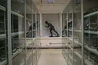 Out of Storage permanent exhibition