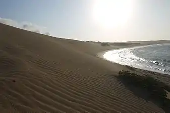 Taroa duneseast of Bahía Portete