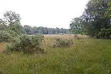 East Winch Common