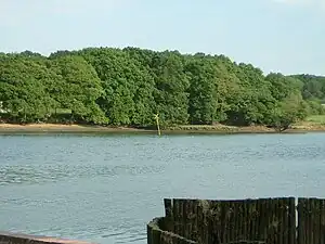 Yellow "X" marks shipwreck River Hamble