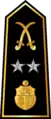 Général de division(Arabic: فريق, romanized: Fariq)(Tunisian Army)