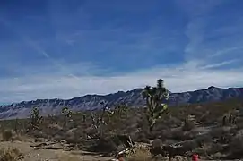 Grand Wash Cliffs, from Pierce Ferry Road