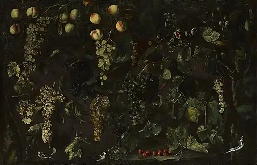 Grape Vines and Fruit, with Three Wagtailsca (ca. 1615) oil on canvas (40 × 61 3/4 in. /101.6 × 156.8&nbsp;cm) Metropolitan Museum of Art, New York