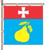 Flag of Hrushvytsia Persha