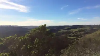 Hills—grassy, wooded, or chaparral-coated—lay between La Honda and the Pacific. From here, only a few buildings on the Northern end of town are visible.