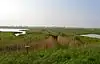 Holland Haven Marshes