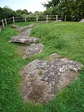 From the top to the bottom of the image, a range of large, grey and mottled stones are situated at a low level, surrounded and partially covered by soil and green grass. In the background is a dark green hedge.