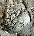 Burial 6. Excavation at exposition 13.