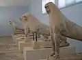 Lion statues. Naxian work, 620-600 BC. Finds from the Lion terrace on Delos.