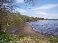 Lough Neagh at Shane's Castle, County Antrim
