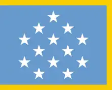 Medal of Honor flag