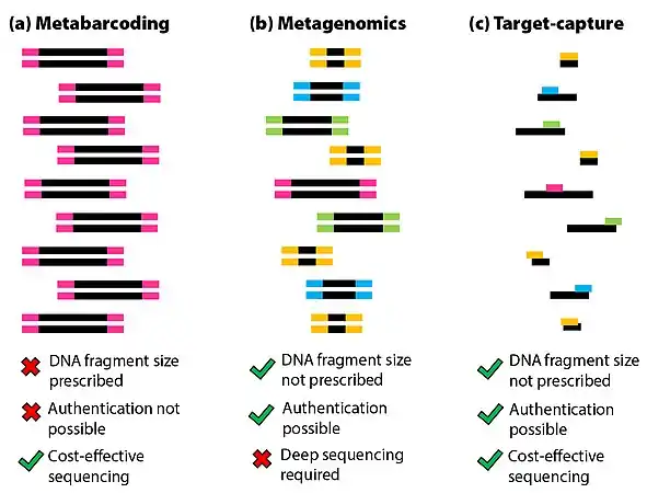 (a) Metabarcoding is the amplification and analysis of equally sized DNA fragments from a total DNA extract. (b) Metagenomics is the extraction, amplification, and analysis of all DNA fragments independent of size. (c) Target-capture describes the enrichment and analysis of specific (chosen) DNA fragments independent of size from a total DNA extract.
