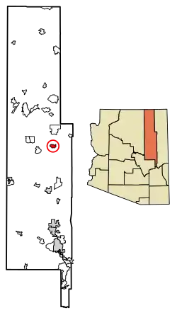 Location of Indian Wells in Navajo County, Arizona.