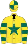 Yellow, Dark Green star, hooped sleeves, quartered cap
