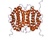 2oie: Crystal structure of RS21-C6 core segment RSCUT