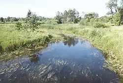 St. Louis River at Thomson, Minnesota