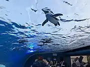 Sunshine Aquarium