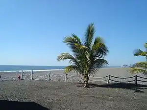 Beach at Petacalco, in the municipality of La Unión de Isidoro Montes de Oca