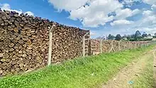 Piles of chopped dry ecalyptus wood in near Igara Secondary school near Butare town in Bushenyi district in Western Uganda