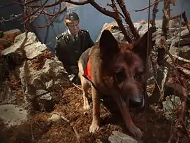 Utstilling i første etasje, Norsk rettsmuseum. Police-dog on duty.