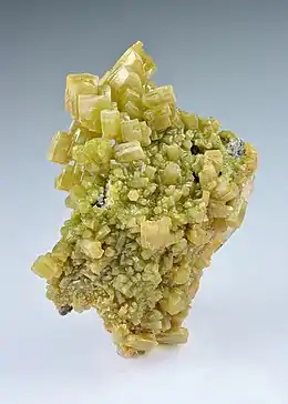 Image 53Pyromorphite, by Iifar (from Wikipedia:Featured pictures/Sciences/Geology)