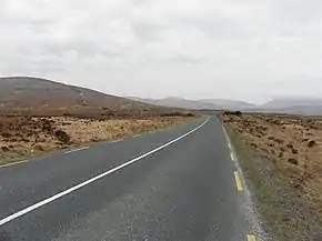 R255 at Ballybuninabber - geograph.org.uk - 1806004.jpg