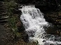 A wide slide falls, with a hiking trail on the left. Native stone stairs for the trail ascend the glen. Newly fallen leaves litter the rocks on the edge of the stream.