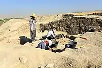 Excavatinons at Gird-i Qalrakh