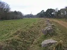 Brasenose Wood and Shotover Hill