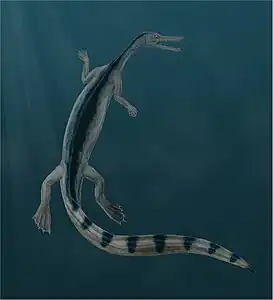 Artist's reconstruction of Stereosternum